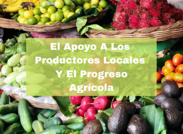 El Apoyo A Los Productores Locales Y El Progreso Agrícola. Foto portada. Infografía. Roberto d'Aubuisson. 2021